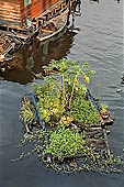 Tonle Sap - Prek Toal floating village - floating houses